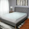 Bedding * | Sealy Cool Touch Mattress Pad Best-Selling